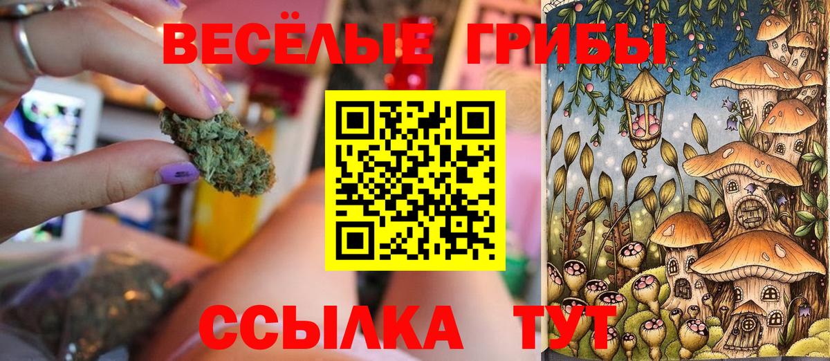 Псилоцибиновые грибы Psilocybine cubensis  Псилоцибиновые грибы прущие грибы  Вход с VPN  Самара 