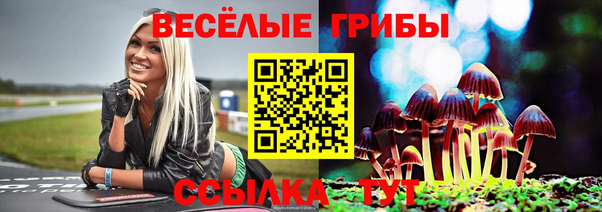 Галлюциногенные грибы прущие грибы Самара